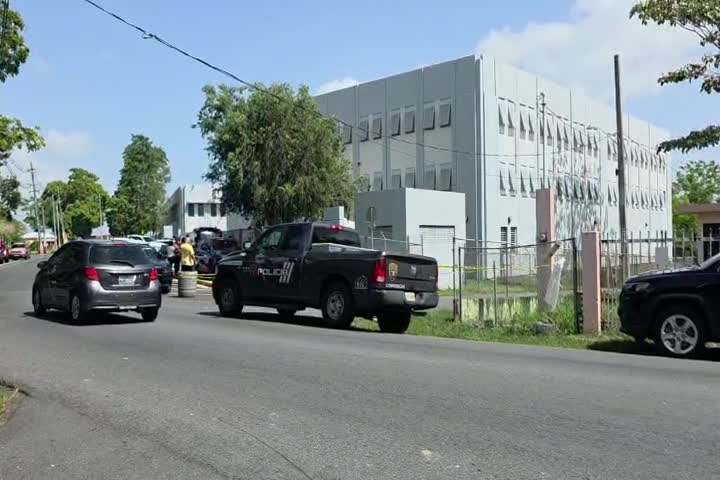 Video de escena donde hombre murió atacado por abejas en Toa Alta