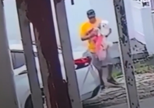 Video del momento en que un maldito “caco” se roba a “Docky” un perrito en Hato Rey