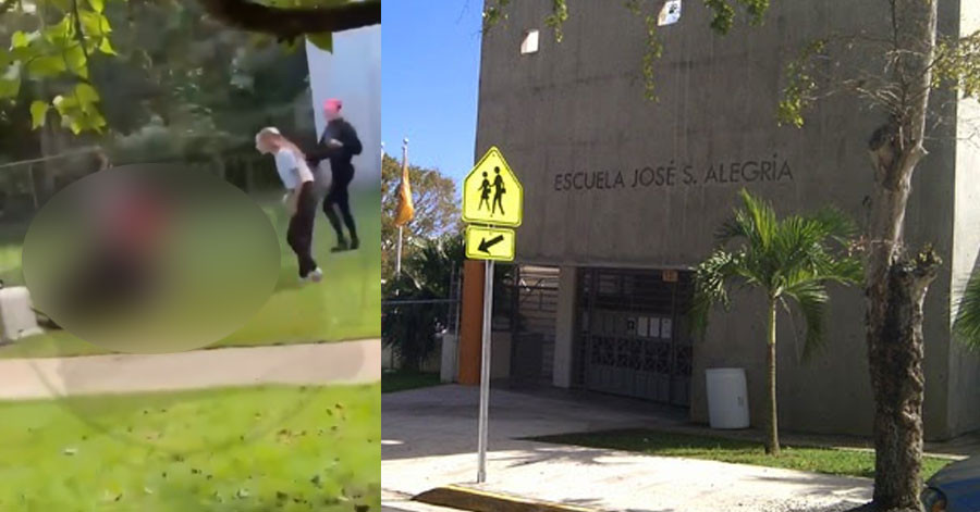 Video: "Royal Rumble" en escuela superior José Santos Alegría en Dorado
