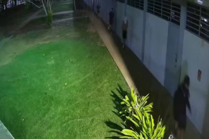 Video capta el momento en que 4 "Chamaquitos" entrar a robar y vandalizar en escuela de Fajardo