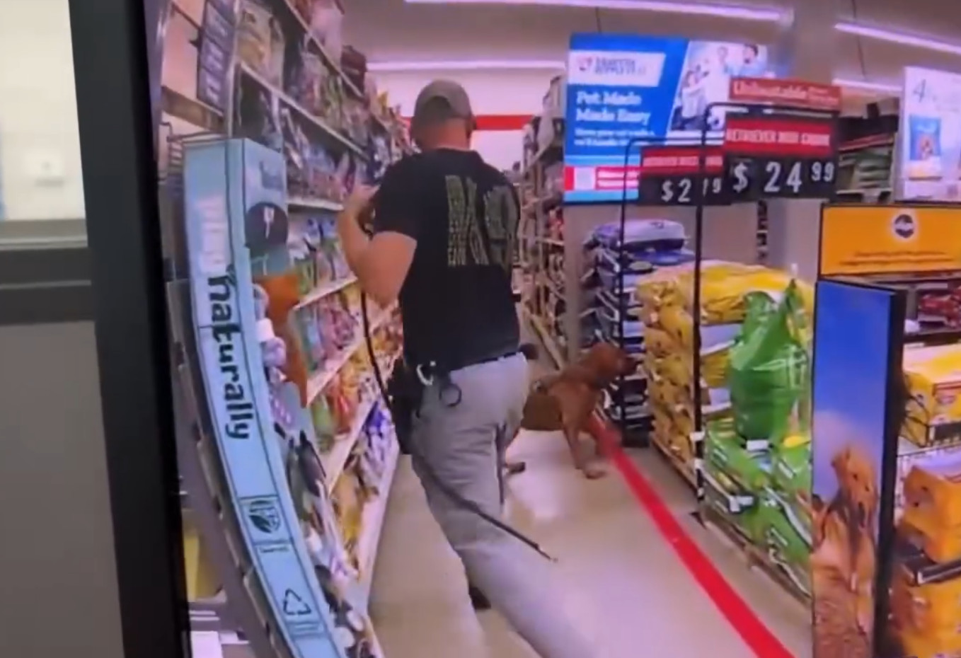 Video: Un K9 localiza rápidamente a niña perdida en tienda en Westchester NY