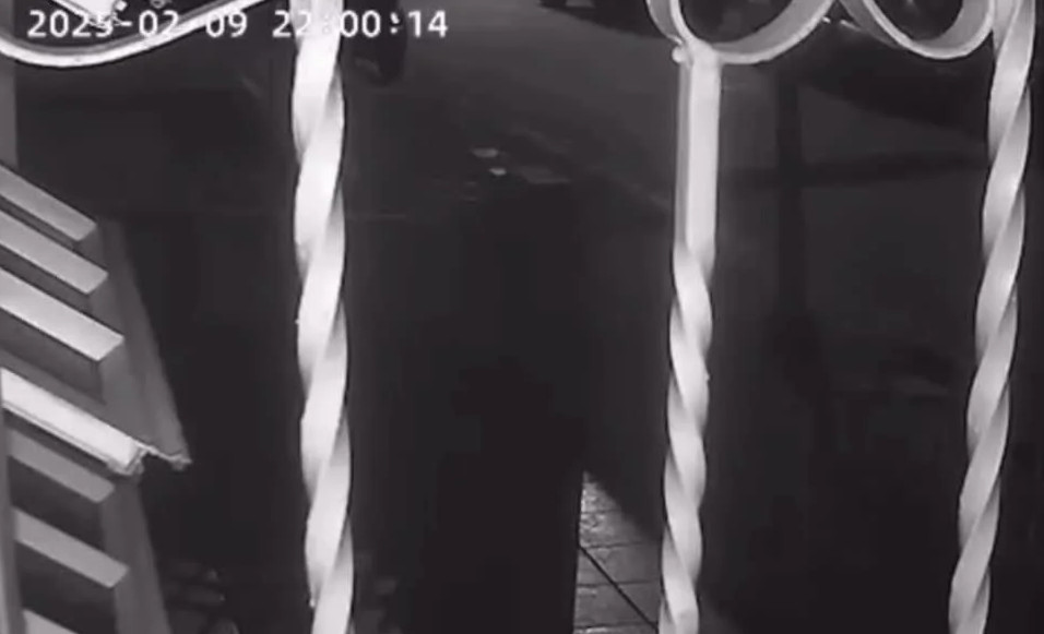 VÍDEO: Graban ráfagas de disparos en Cayey, podrían ser de asesinato de joven
