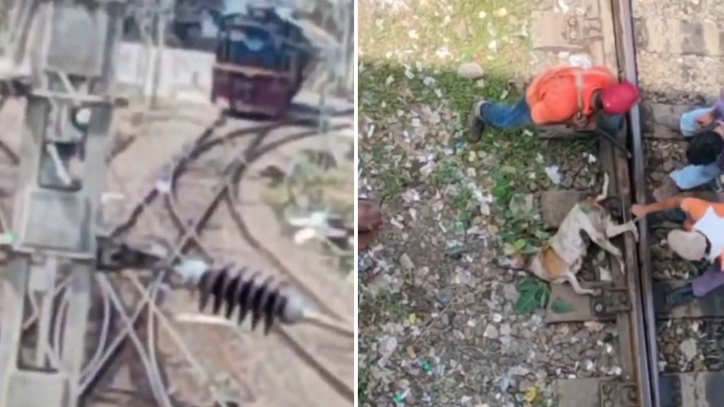 Video: Perrito queda pillado en las vías del tren y trabajadores se pone en marcha para rescatarlo, miren lo que paso