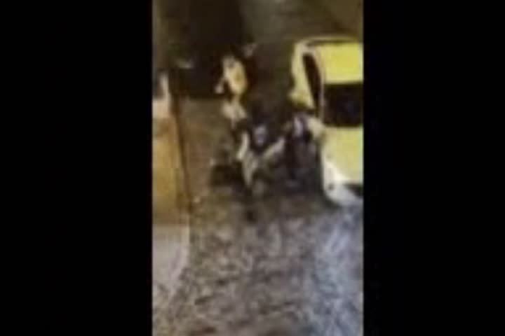 Video: Pelea en Viejo San Juan deja un muerto y 5 arrestados