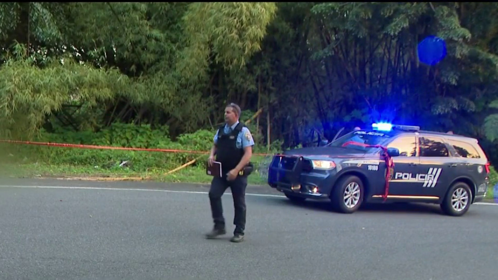 Video: Se reporta asesinato en el barrio Guavate en Cayey