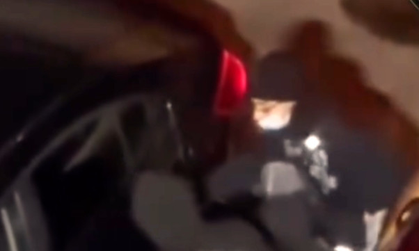 Video: Mangaos dos chamaquitos intentando robar un carro