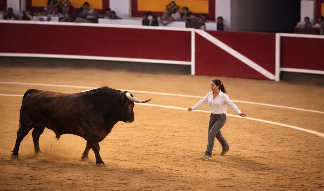 Video: Mujer entra a corrida y calma a un toro con un abrazo