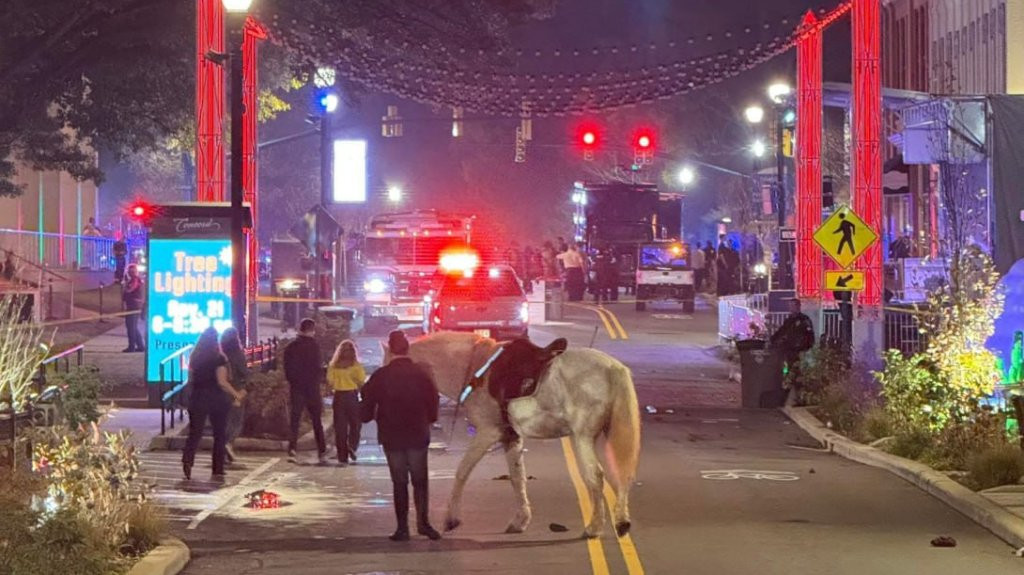 Video: Al menos seis personas resultaron baleadas durante encendido navideño en Carolina del Norte