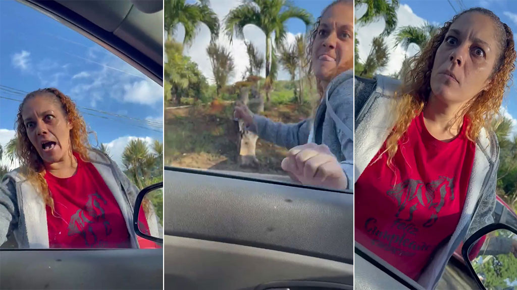 Video en PR: Una Doña pierde el control en medio del tapón