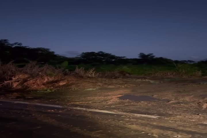 Video: Encuentran cuerpo de hombre en estado de descomposición en Loíza