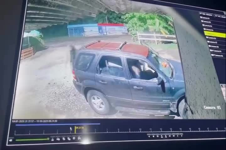 Video: Publican video de cascos robando en Mayagüez