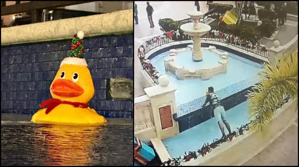 Video:Ni un patito de hule se salva, se roban decoración de fuente en plaza de Corozal