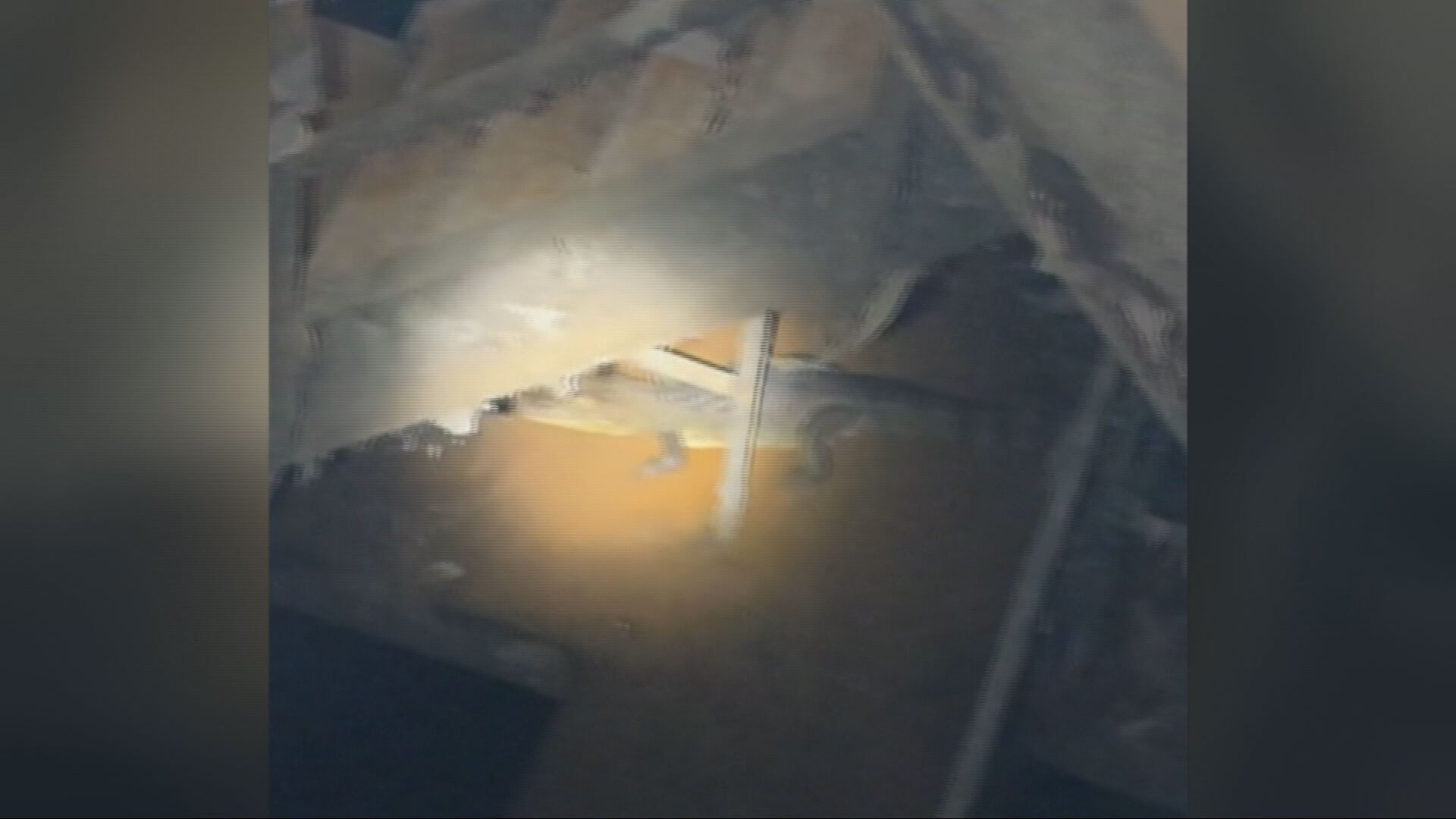 Video: Denuncian presencia de caimán en planta de bombas en Carolina